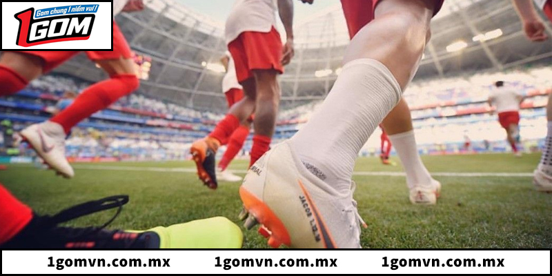 Tổng quan về sân chơi bóng đá net